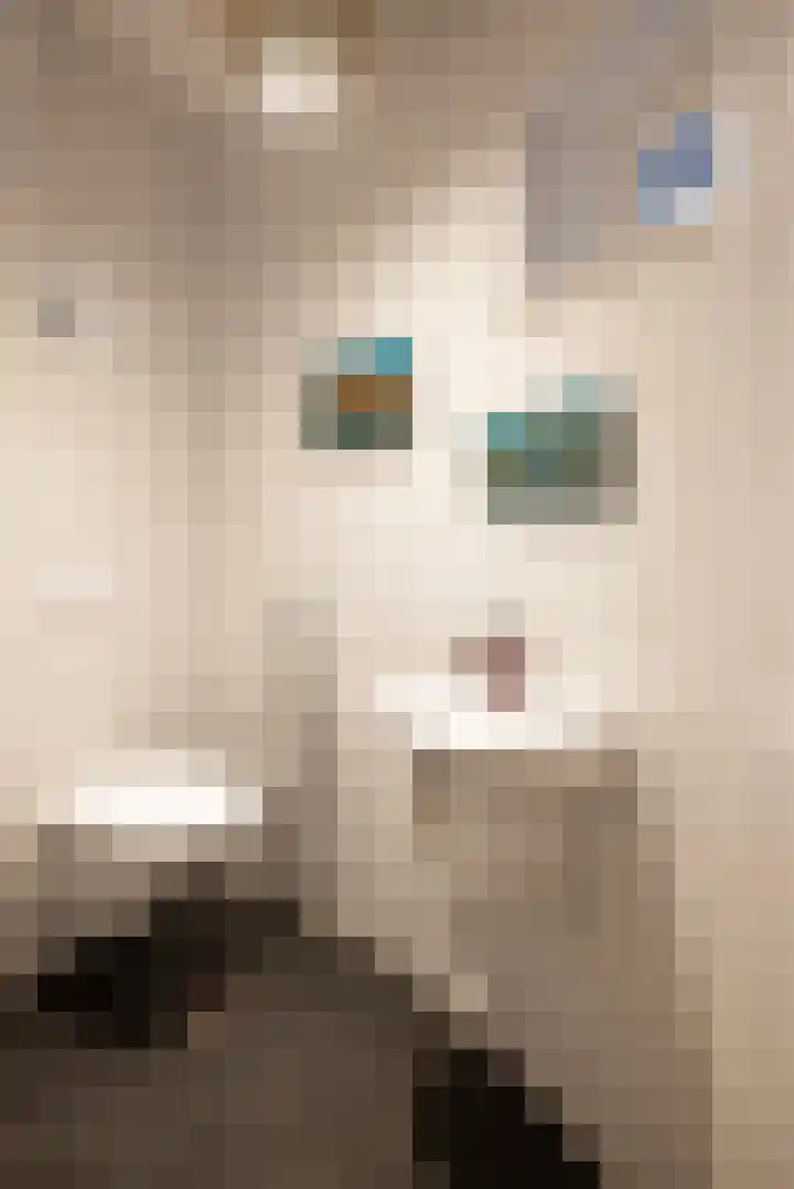 Sparrenlaan 15 A Epe thumbnail 20