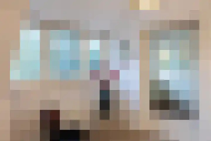 Sparrenlaan 15 A Epe thumbnail 25