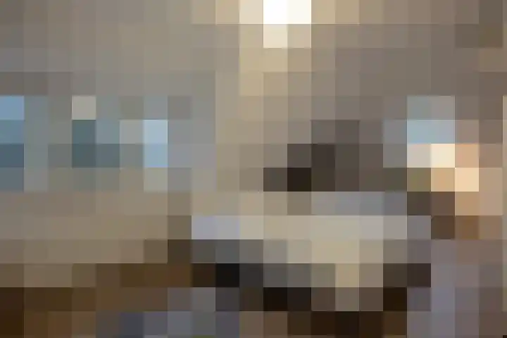 Sparrenlaan 15 A Epe thumbnail 27
