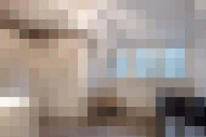 Sparrenlaan 15 A Epe thumbnail 28