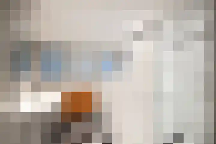 Sparrenlaan 15 A Epe thumbnail 30