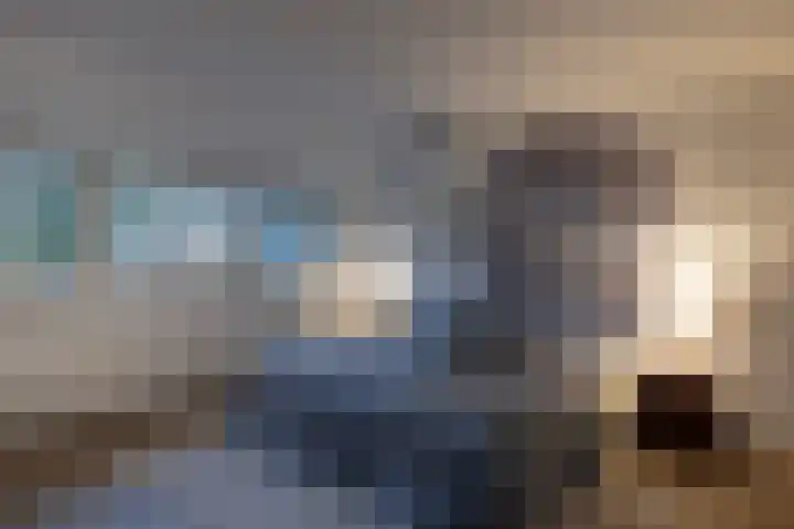 Sparrenlaan 15 A Epe thumbnail 33