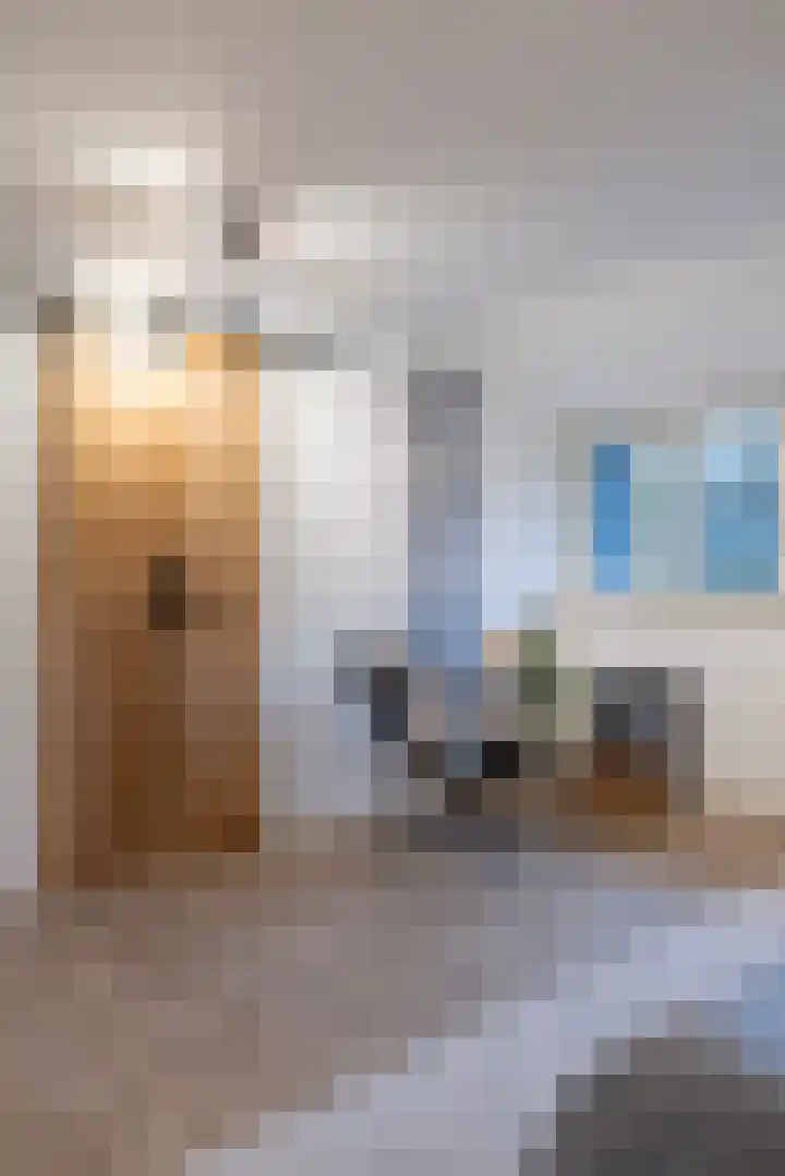 Sparrenlaan 15 A Epe thumbnail 34