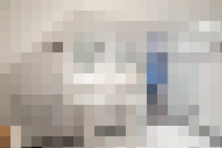 Sparrenlaan 15 A Epe thumbnail 36