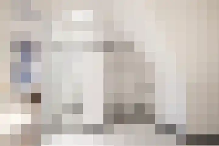 Sparrenlaan 15 A Epe thumbnail 37