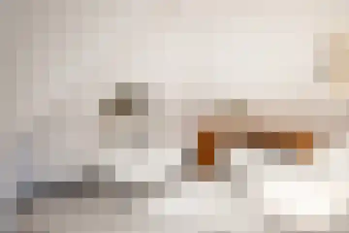 Sparrenlaan 15 A Epe thumbnail 38