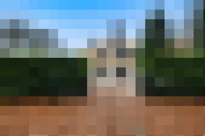 Sparrenlaan 15 A Epe thumbnail 4