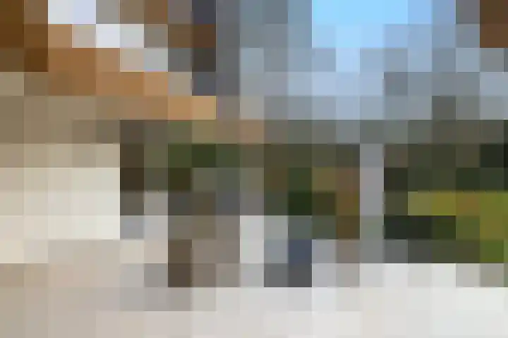 Sparrenlaan 15 A Epe thumbnail 41