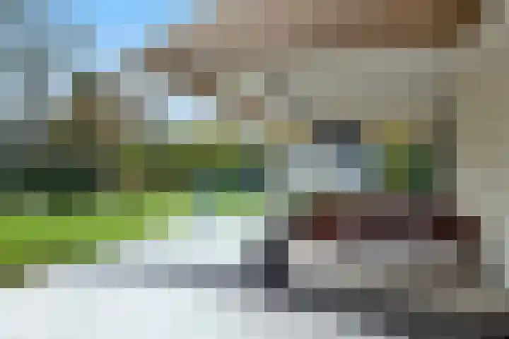 Sparrenlaan 15 A Epe thumbnail 42