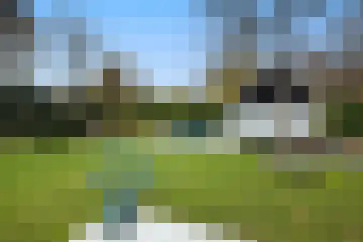 Sparrenlaan 15 A Epe thumbnail 43