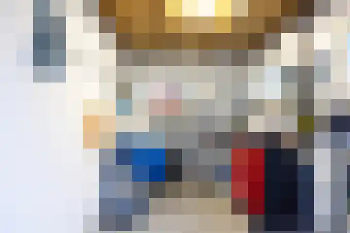 Sparrenlaan 15 A Epe thumbnail 46