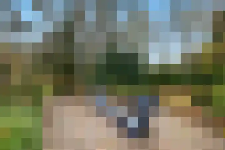 Sparrenlaan 15 A Epe thumbnail 47