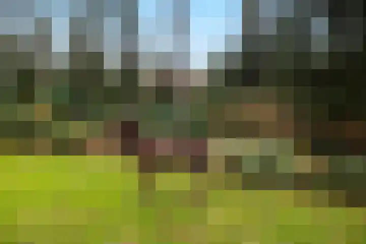 Sparrenlaan 15 A Epe thumbnail 48
