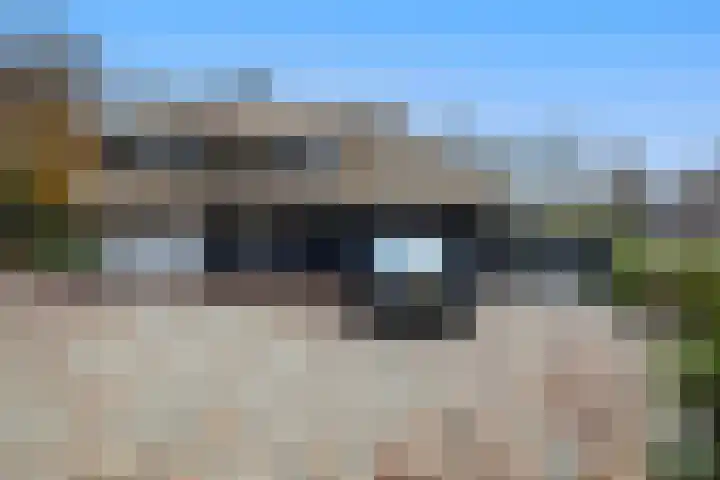 Sparrenlaan 15 A Epe thumbnail 53