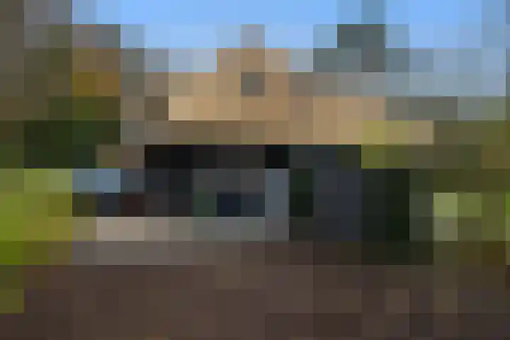 Sparrenlaan 15 A Epe thumbnail 54