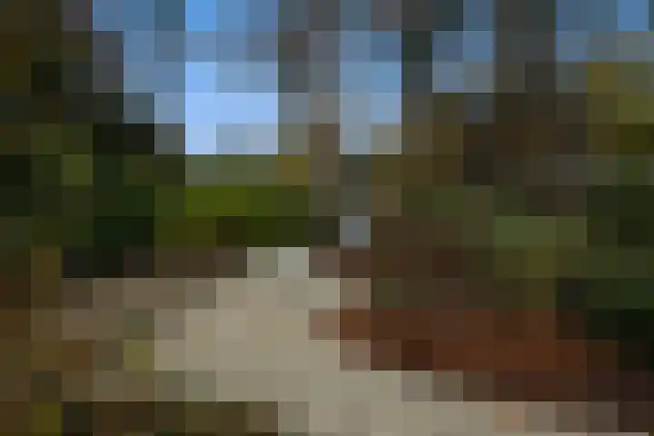 Sparrenlaan 15 A Epe thumbnail 55