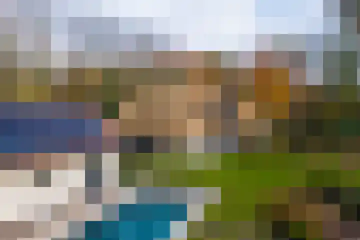 Sparrenlaan 15 A Epe thumbnail 56