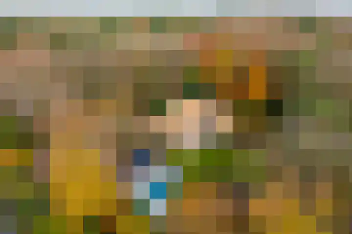 Sparrenlaan 15 A Epe thumbnail 57