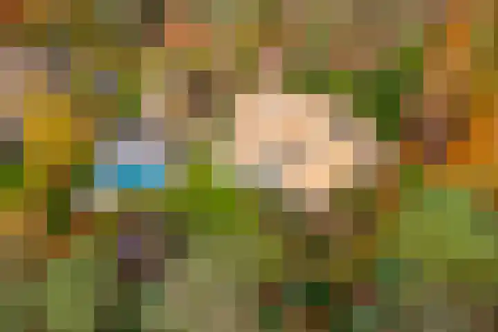 Sparrenlaan 15 A Epe thumbnail 58
