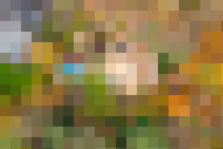 Sparrenlaan 15 A Epe thumbnail 59