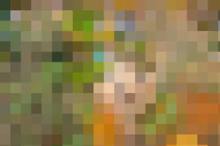 Sparrenlaan 15 A Epe thumbnail 60