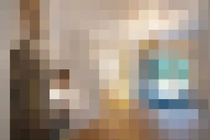 Sparrenlaan 15 A Epe thumbnail 7