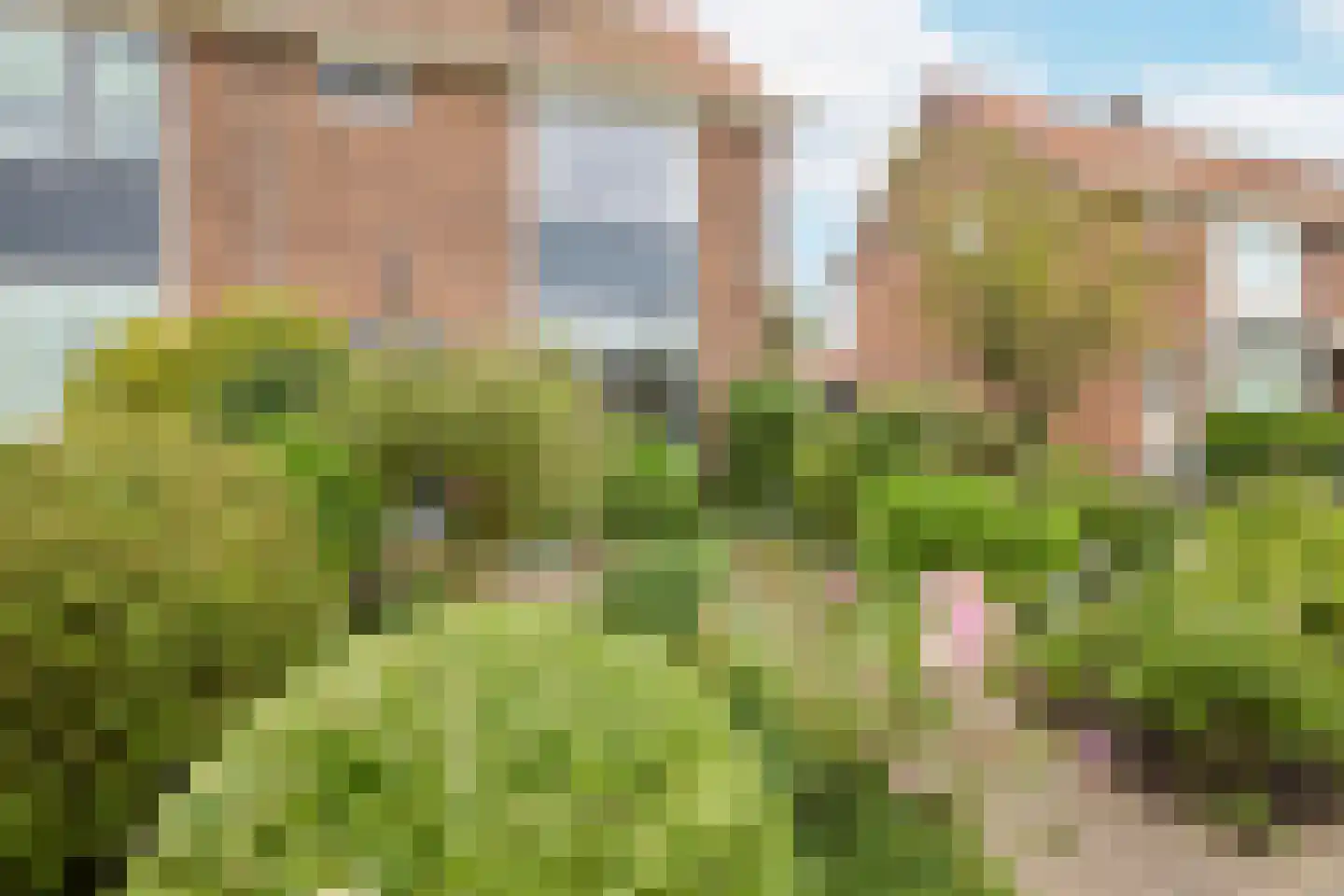 Sparrenlaan 18 Zwanenburg thumbnail 11