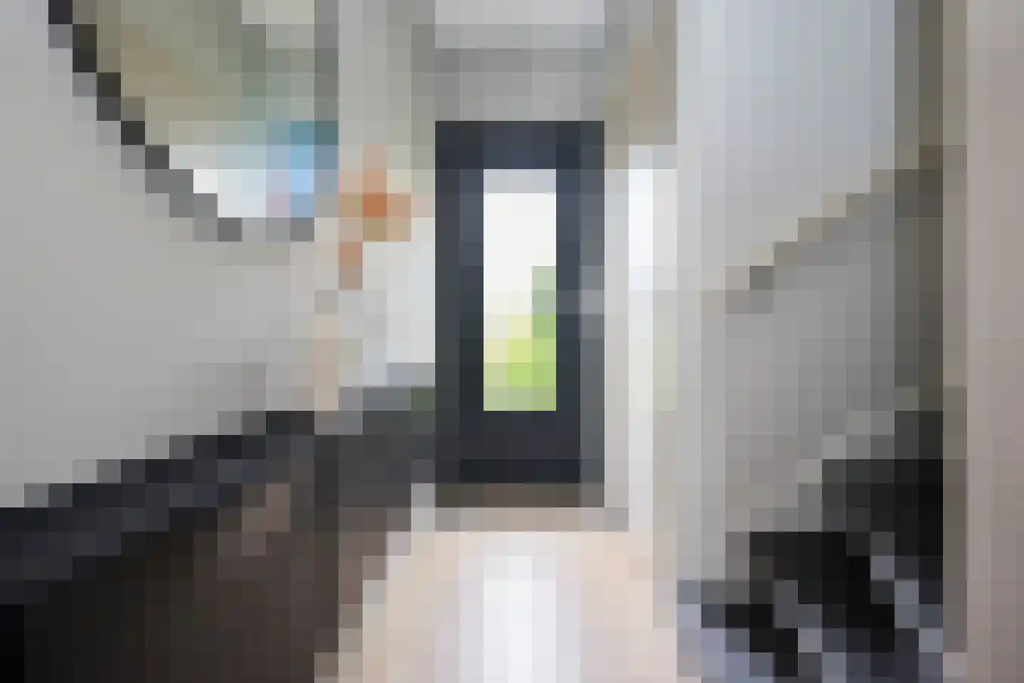 Sparrenlaan 18 Zwanenburg thumbnail 13