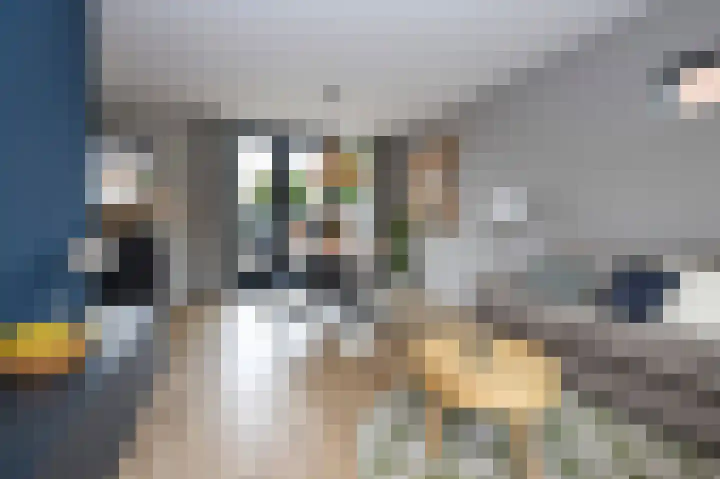 Sparrenlaan 18 Zwanenburg thumbnail 20