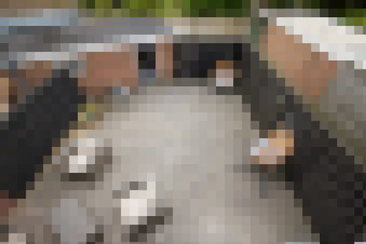 Sparrenlaan 18 Zwanenburg thumbnail 30