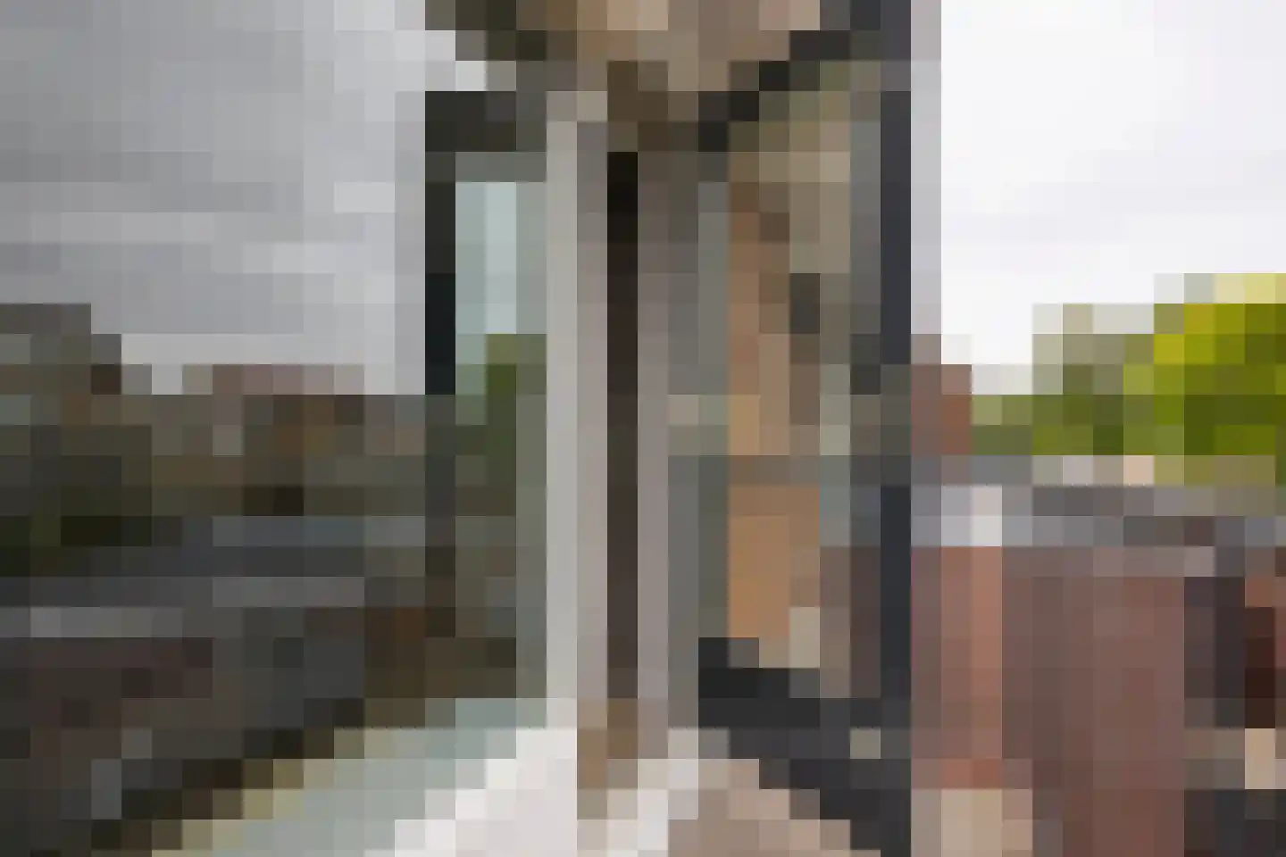 Sparrenlaan 18 Zwanenburg thumbnail 31