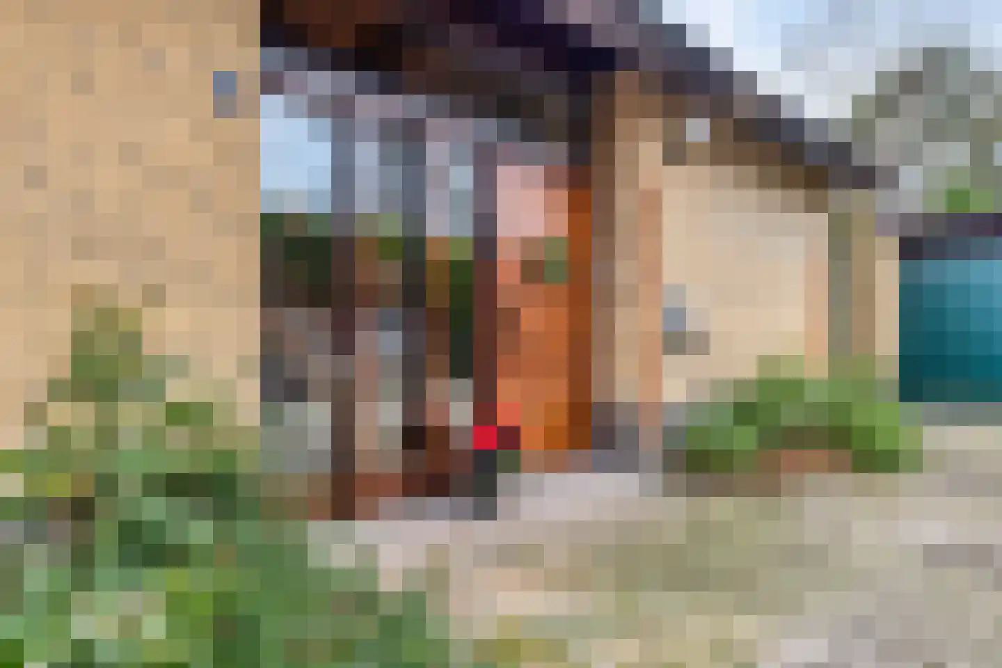 Sparrenlaan 19 Putte thumbnail 10