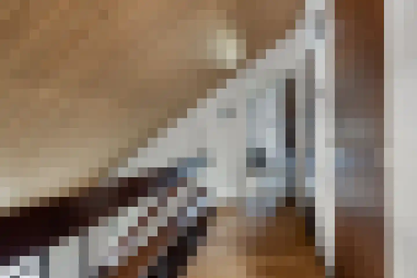 Sparrenlaan 19 Putte thumbnail 27