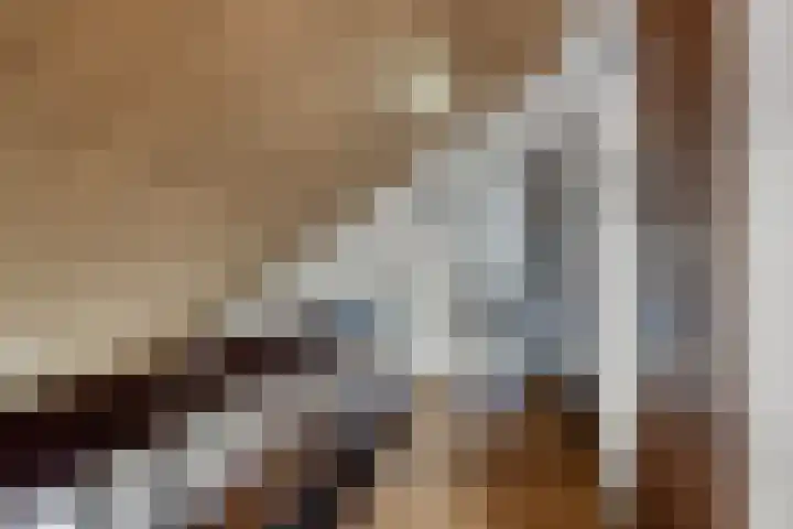 Sparrenlaan 19 Putte thumbnail 27