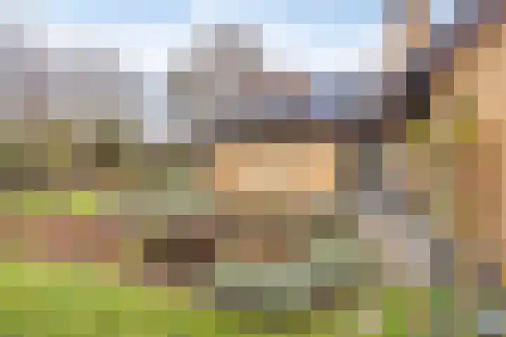 Sparrenlaan 19 Putte thumbnail 34