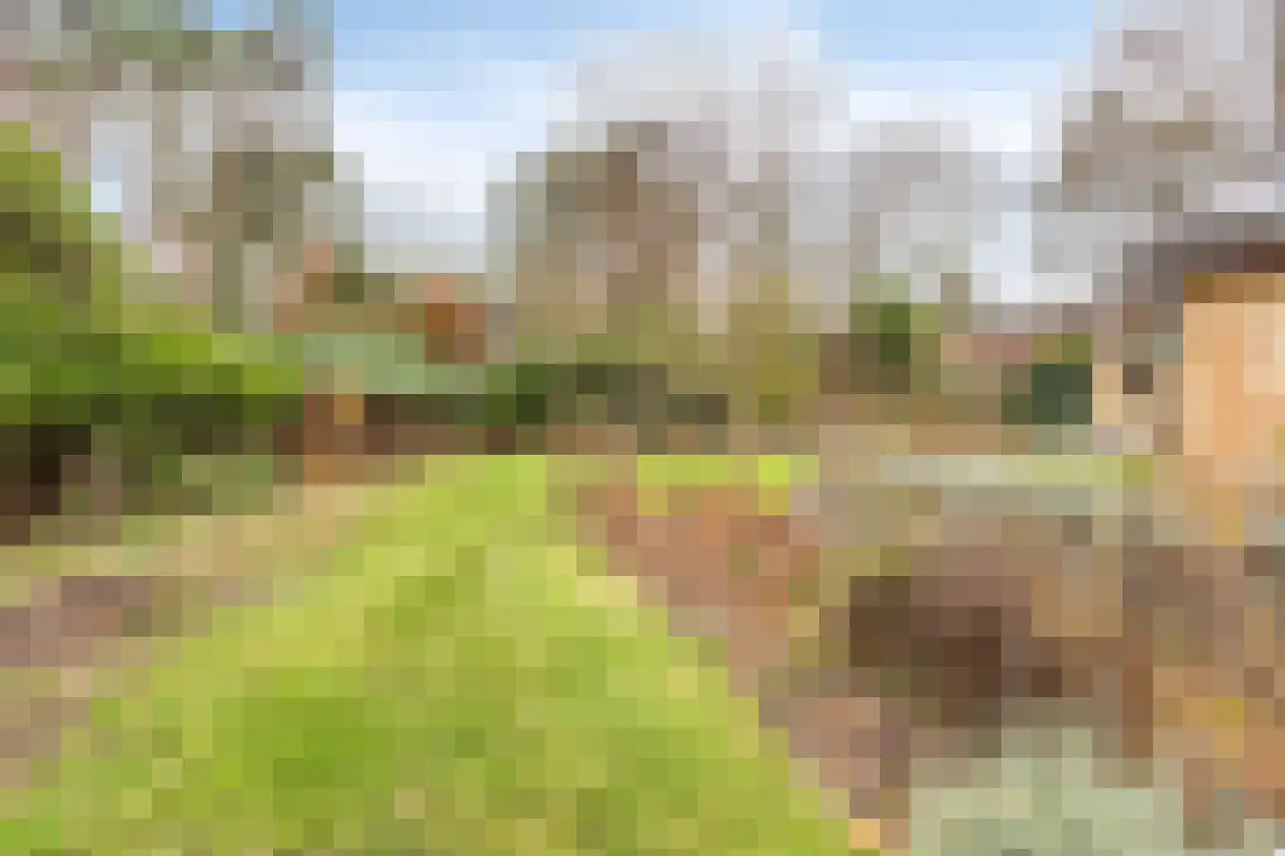 Sparrenlaan 19 Putte thumbnail 35