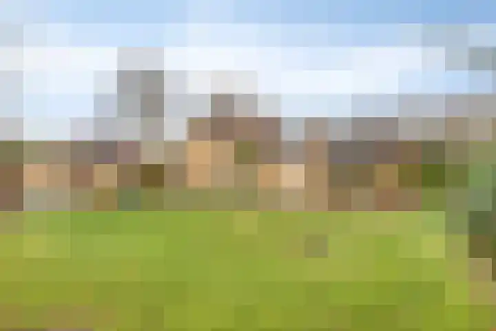 Sparrenlaan 19 Putte thumbnail 36