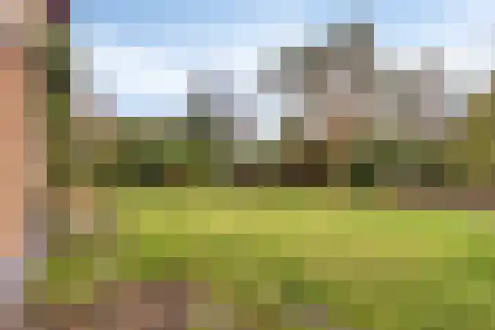 Sparrenlaan 19 Putte thumbnail 37