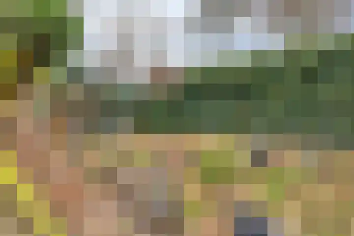 Sparrenlaan 19 Putte thumbnail 38