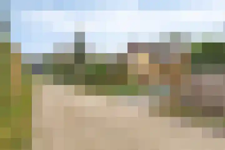 Sparrenlaan 19 Putte thumbnail 43
