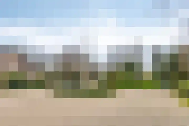 Sparrenlaan 19 Putte thumbnail 44