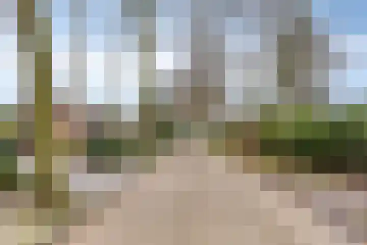 Sparrenlaan 19 Putte thumbnail 45