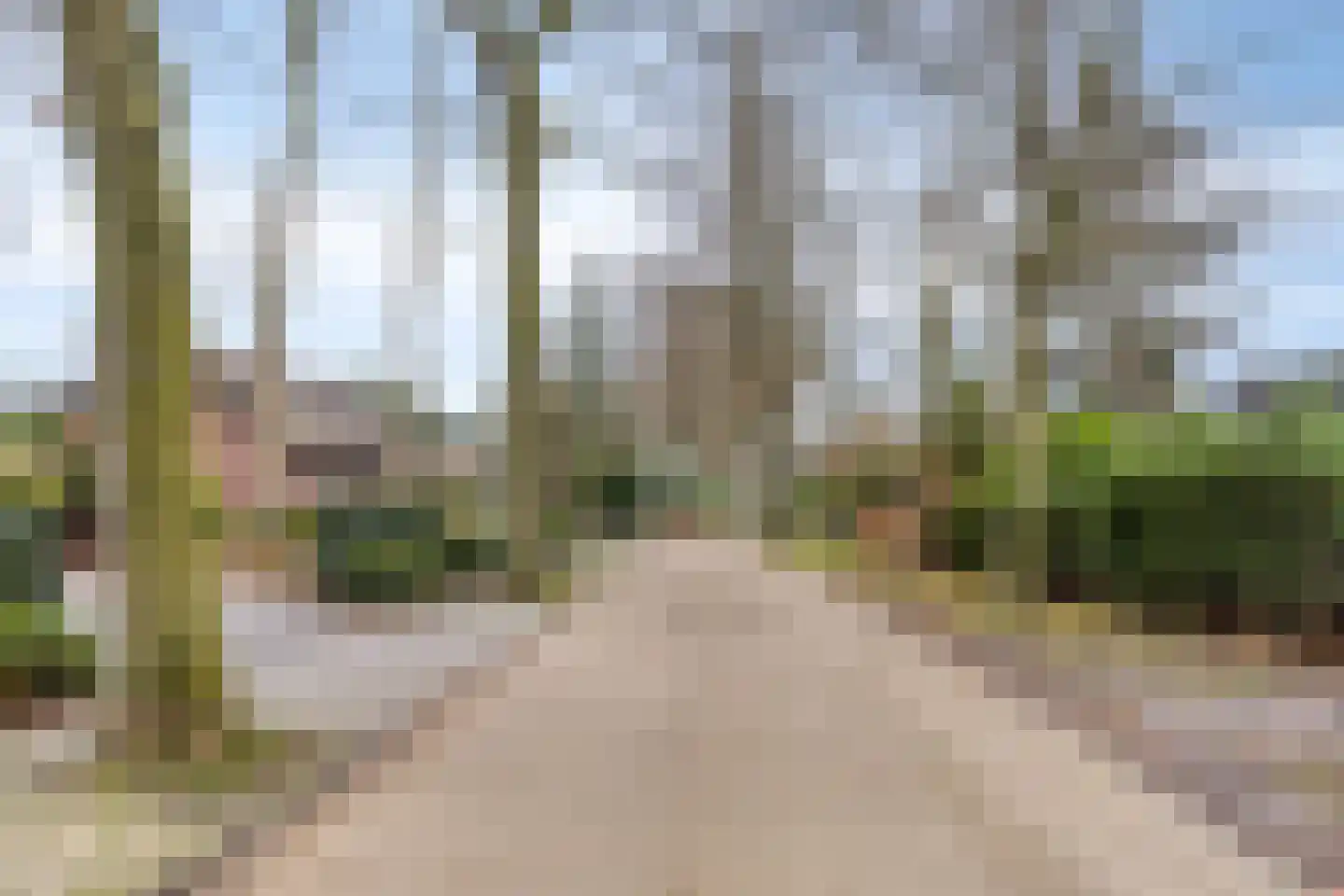 Sparrenlaan 19 Putte thumbnail 45