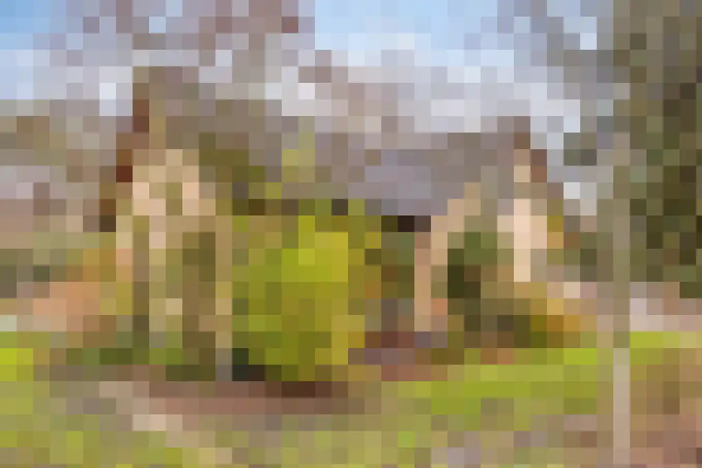Sparrenlaan 19 Putte thumbnail 7