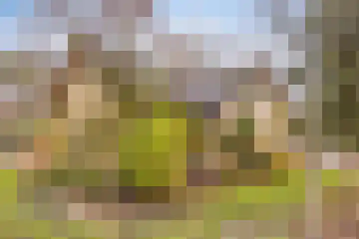 Sparrenlaan 19 Putte thumbnail 7