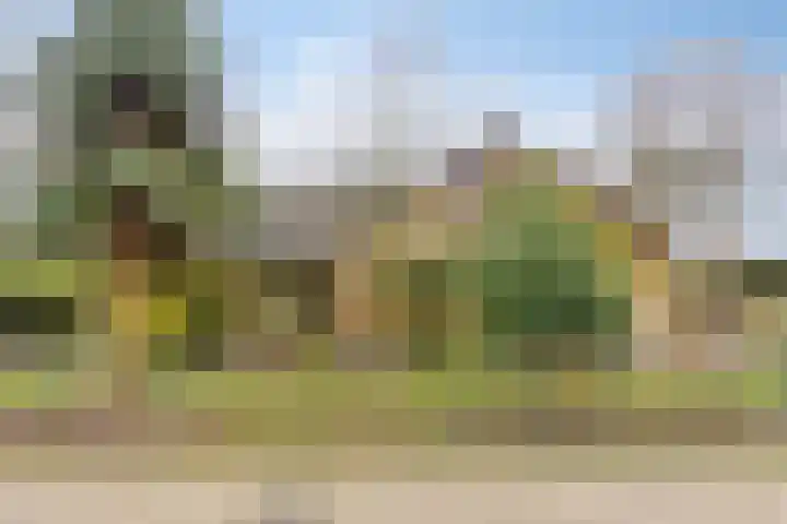 Sparrenlaan 19 Putte thumbnail 8