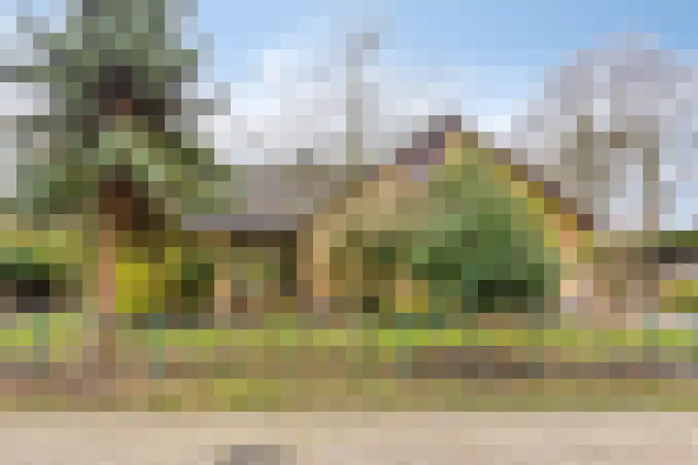 Sparrenlaan 19 Putte thumbnail 8