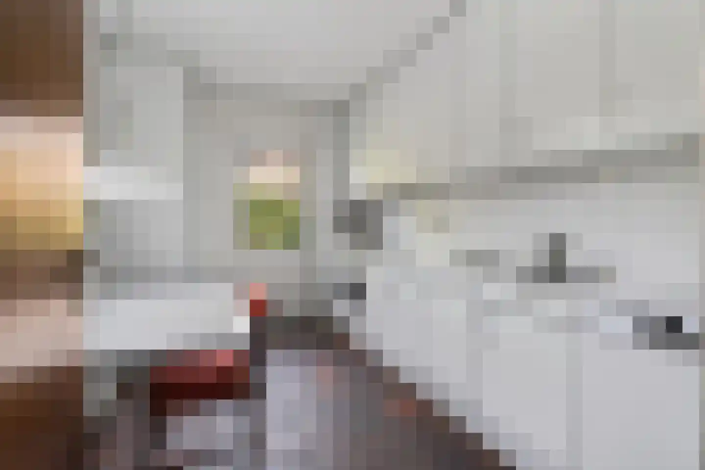 Sparrenlaan 2 Valkenswaard thumbnail 19