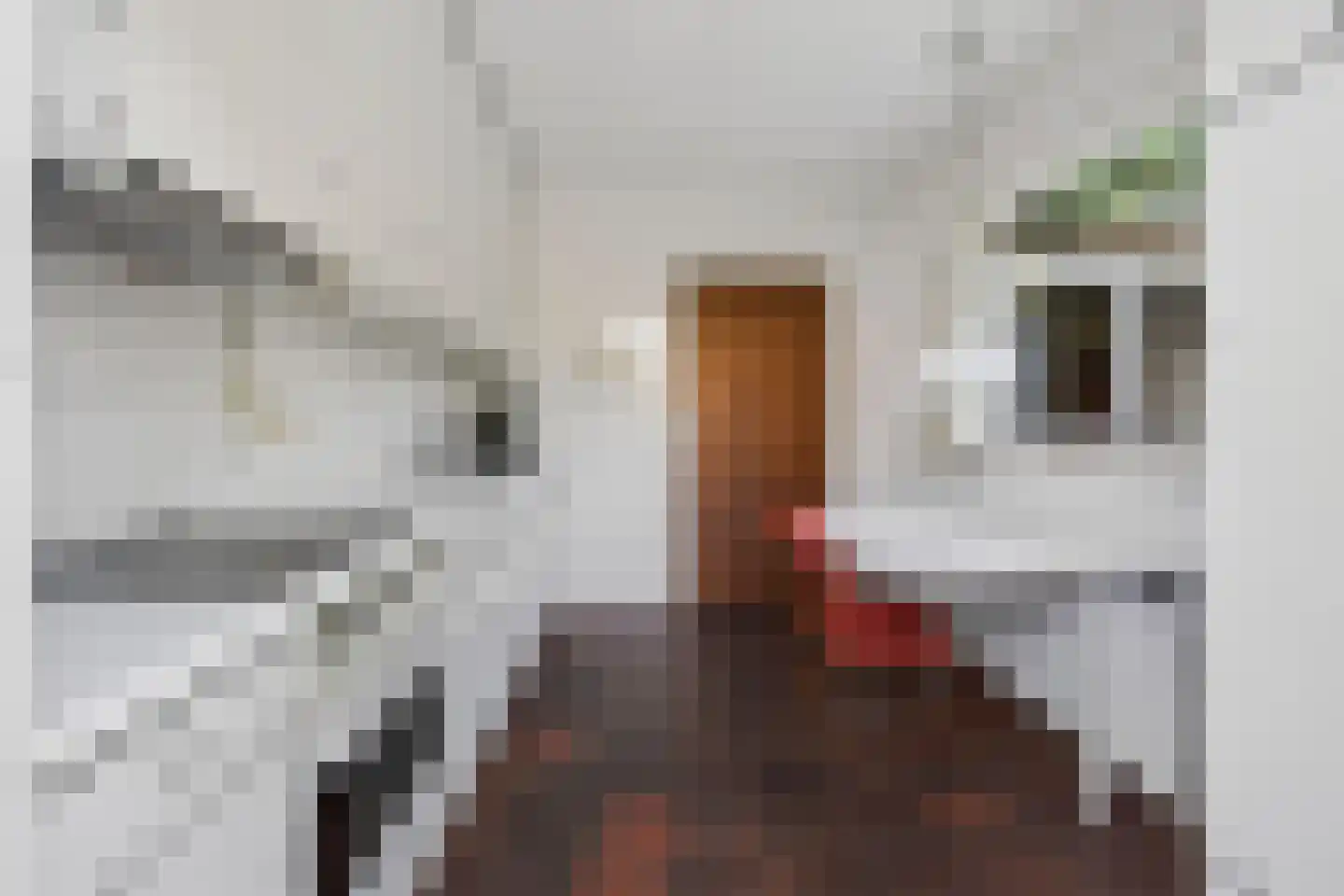 Sparrenlaan 2 Valkenswaard thumbnail 20