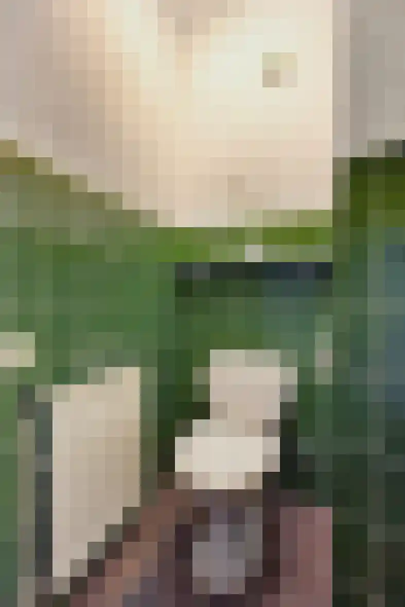 Sparrenlaan 2 Valkenswaard thumbnail 22